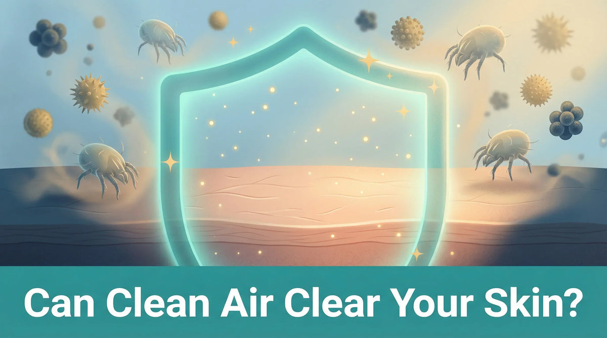 Do Air Purifiers Help With Eczema Triggers? Expert Insights