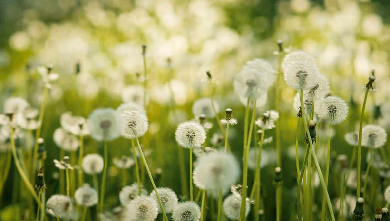 How Summer Affects Eczema - HarlanMD