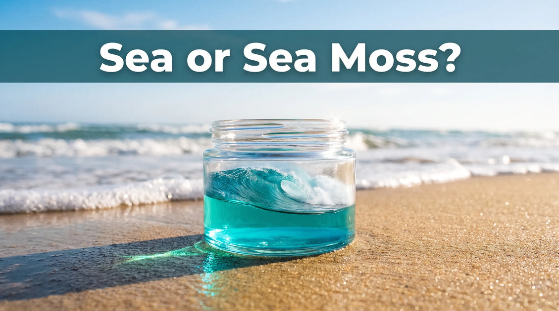 The Ocean Healed My Eczema? Why Salt Water, Sun and Sea Moss Creams Help and Where They Stop