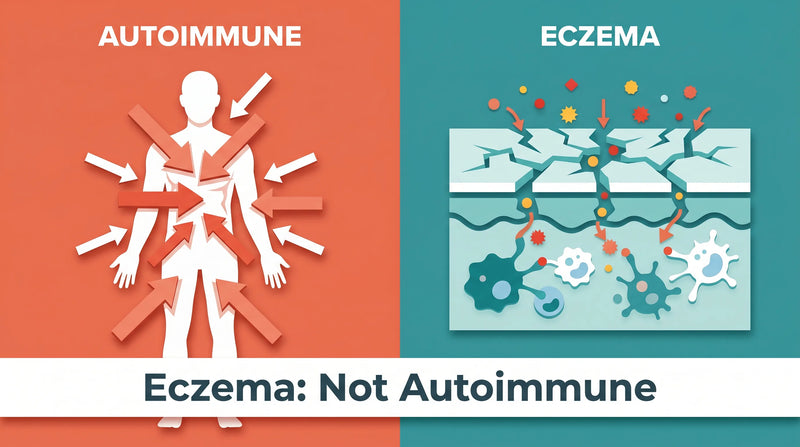 Eczema is not autoimmune concept showing immune overreaction versus self-attack