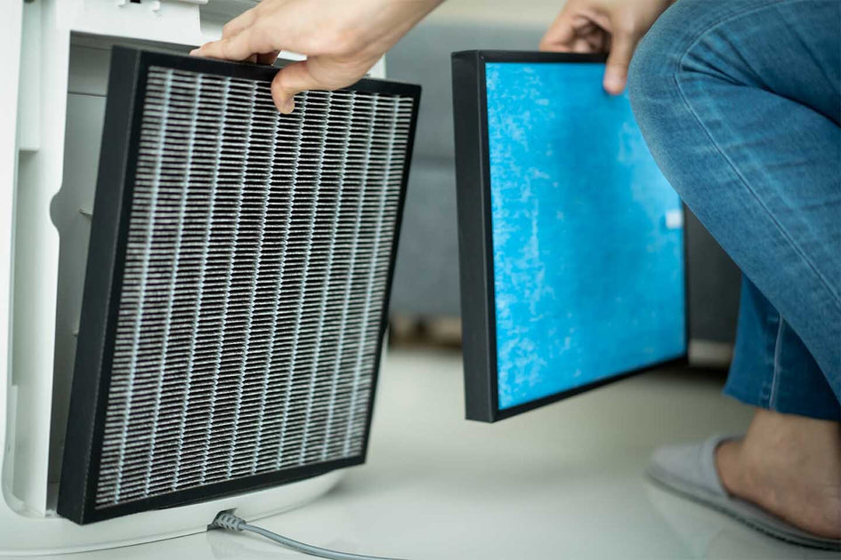 Do Air Purifiers Help With Eczema?  Our Definitive Guide