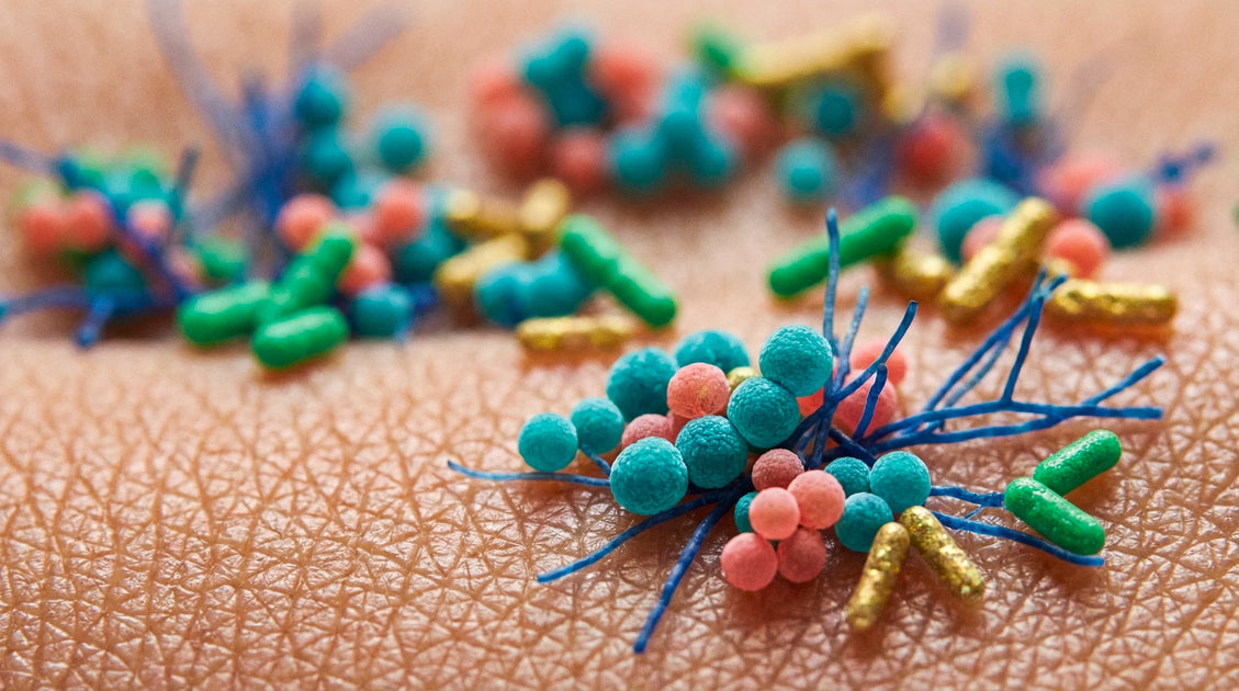What Is the Microbiome? Your Skin's Hidden Ecosystem